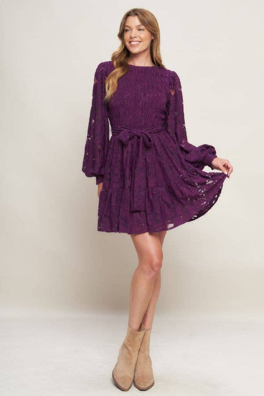 Plum Lace Long Sleeve Mini Dress
