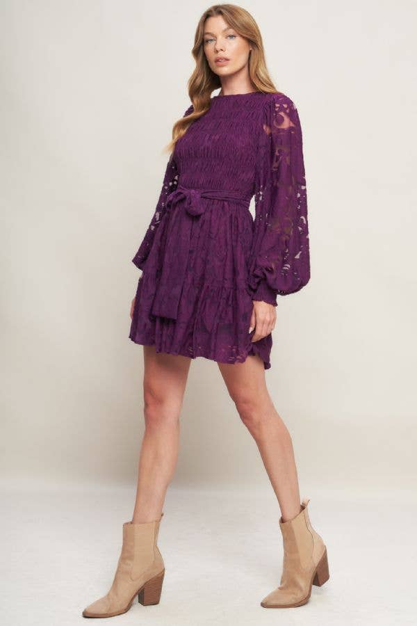 Plum Lace Long Sleeve Mini Dress