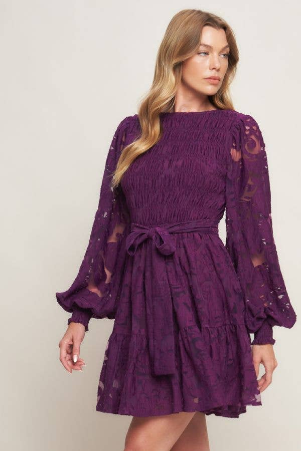 Plum Lace Long Sleeve Mini Dress