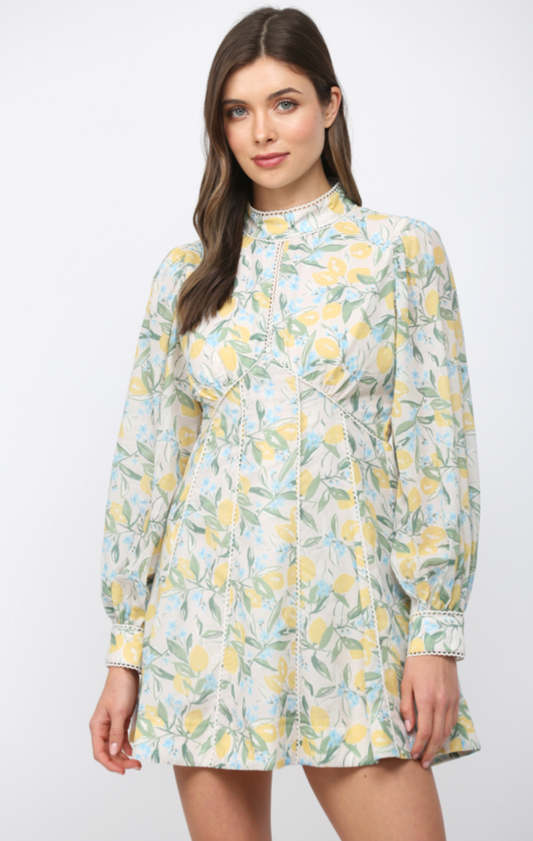 LACE TRIMMED LEMON & FLORAL PRINT FIT & FLARE DRESS