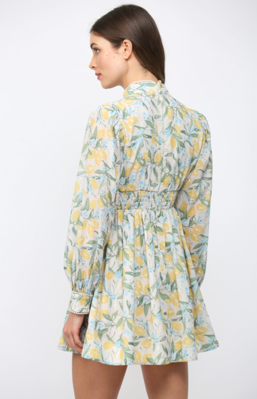 LACE TRIMMED LEMON & FLORAL PRINT FIT & FLARE DRESS
