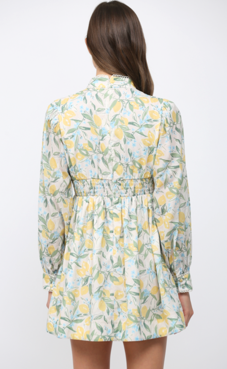 LACE TRIMMED LEMON & FLORAL PRINT FIT & FLARE DRESS