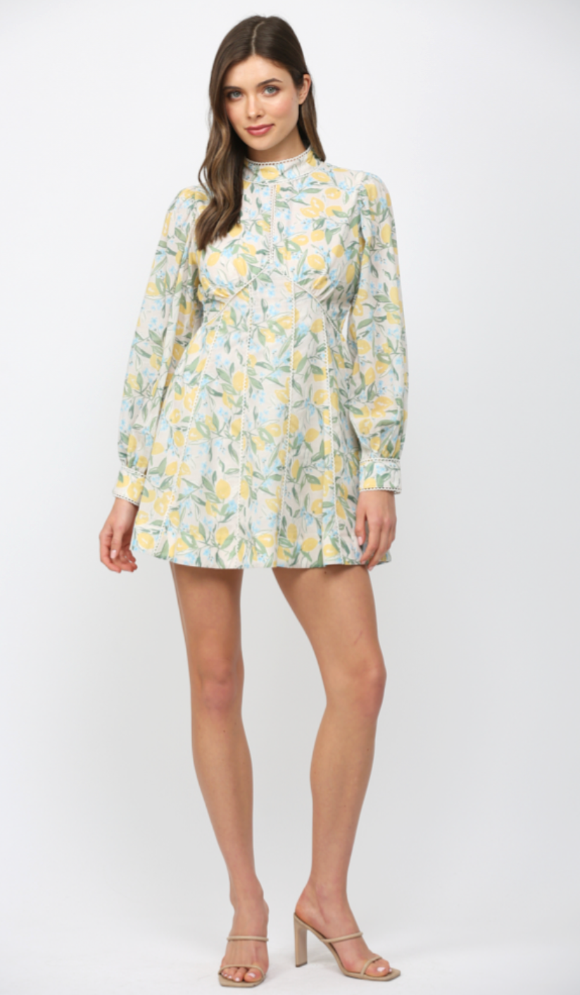 LACE TRIMMED LEMON & FLORAL PRINT FIT & FLARE DRESS