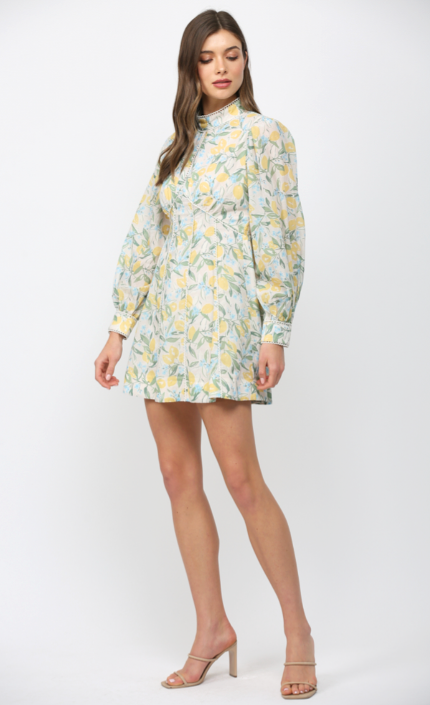 LACE TRIMMED LEMON & FLORAL PRINT FIT & FLARE DRESS
