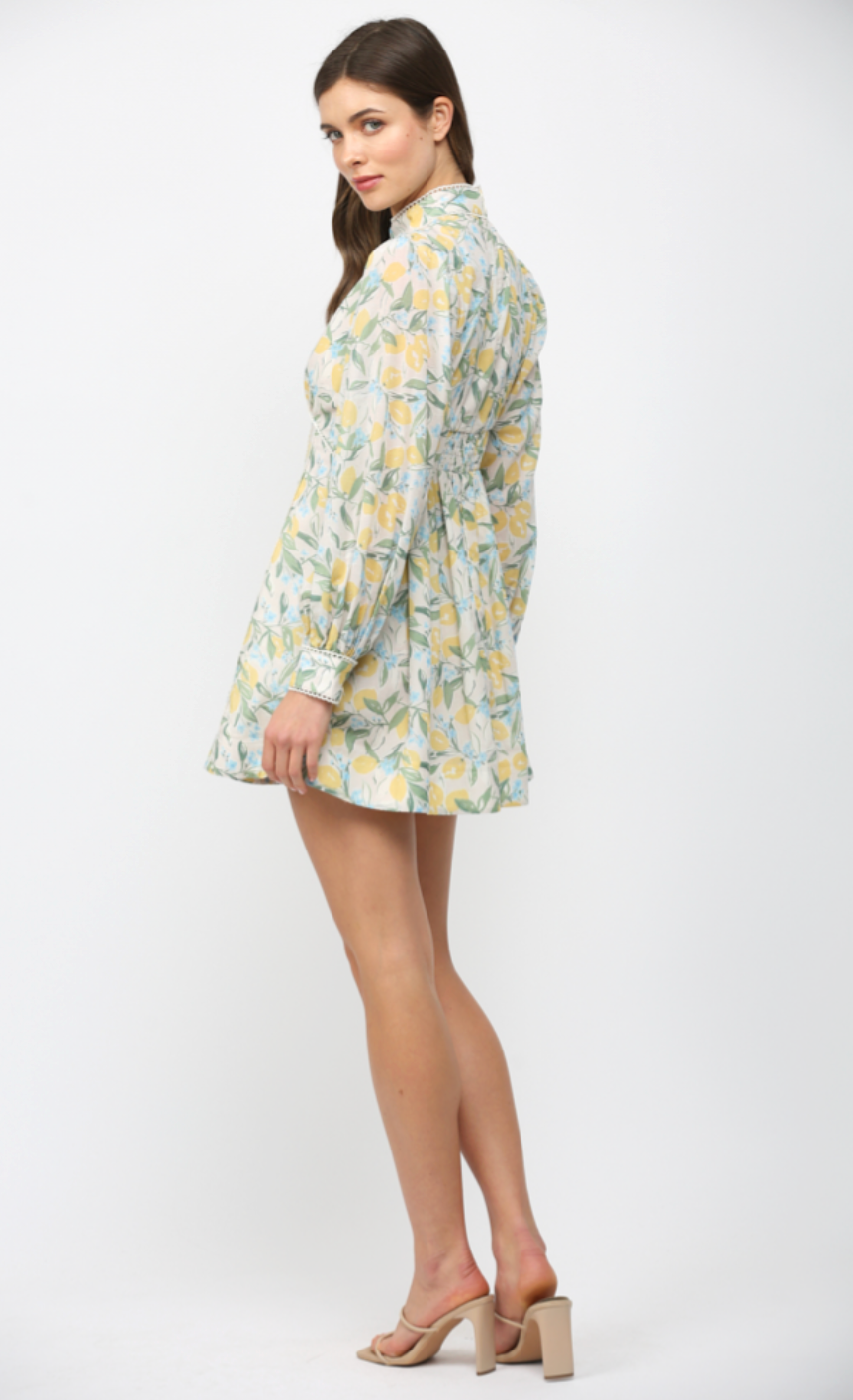LACE TRIMMED LEMON & FLORAL PRINT FIT & FLARE DRESS