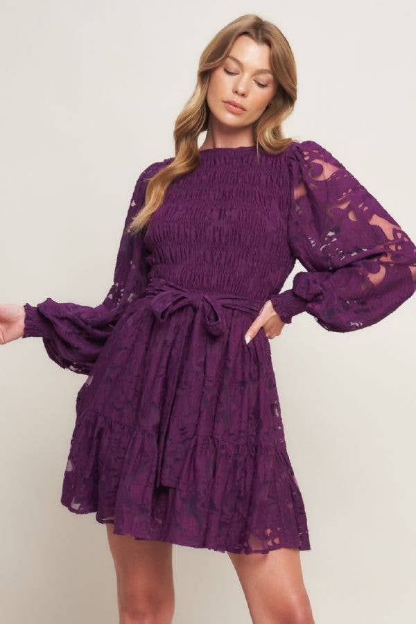 Plum Lace Long Sleeve Mini Dress